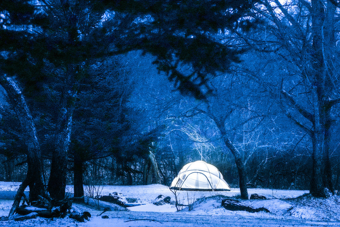 CAVEポールのみ neru design works – タグ 