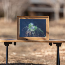 画像をギャラリービューアに読み込む, フォトフレーム L