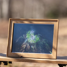 画像をギャラリービューアに読み込む, フォトフレーム L