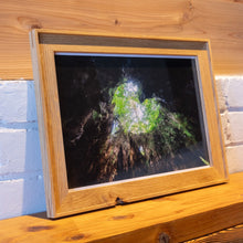 画像をギャラリービューアに読み込む, フォトフレーム L