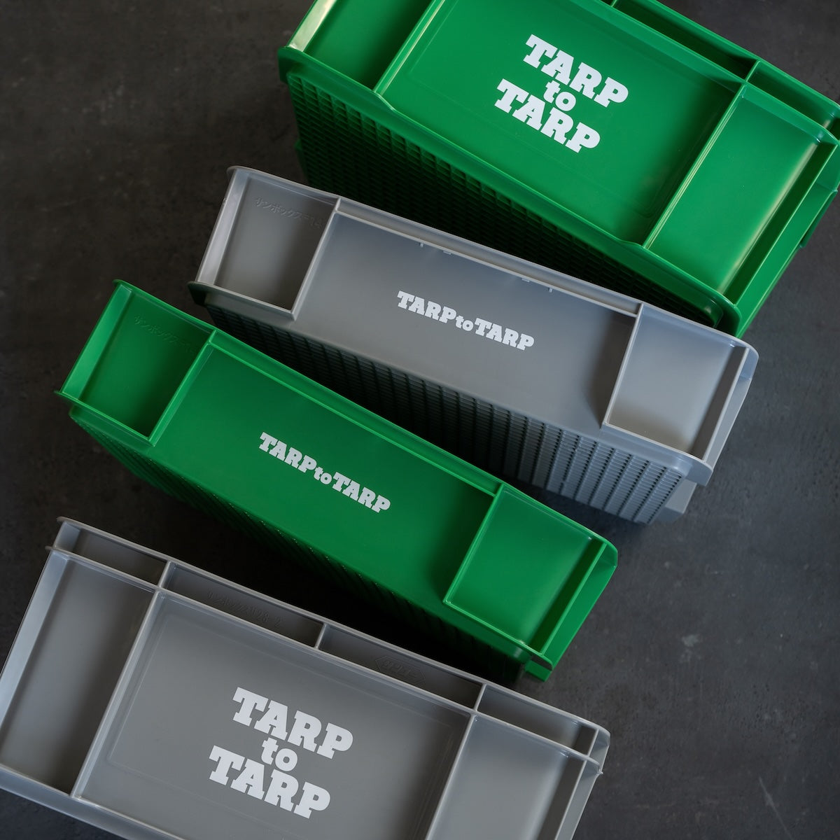 Daily Box regular – LOG