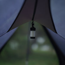 画像をギャラリービューアに読み込む, Coastwing Inner(Coastline)