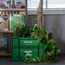 画像をギャラリービューアに読み込む, Daily Box regular