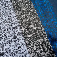 画像をギャラリービューアに読み込む, RAYTROLL Evolve T-shirt