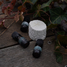 画像をギャラリービューアに読み込む, yohaku KIKUSUMI