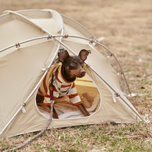 画像をギャラリービューアに読み込む, Skydome mini Ivory