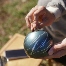 画像をギャラリービューアに読み込む, DOME LOOK LOG ver.