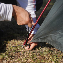 画像をギャラリービューアに読み込む, STARS 2