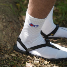 画像をギャラリービューアに読み込む, YamaTabi OG Sox