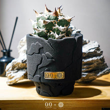 画像をギャラリービューアに読み込む, 珪砂鉢 峰