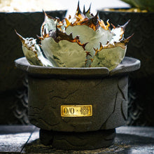 画像をギャラリービューアに読み込む, 珪砂鉢 川