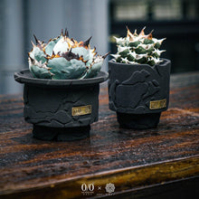 画像をギャラリービューアに読み込む, 珪砂鉢 川