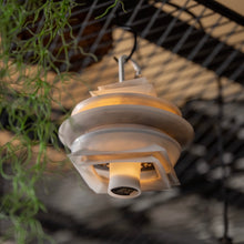 画像をギャラリービューアに読み込む, 【抽選販売】Valo Shade(Sunrise)& Silicon cover GZ 5th Anniversary Edition