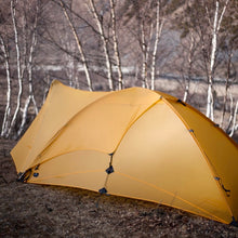 画像をギャラリービューアに読み込む, Border with Vestibule / Chrome Yellow