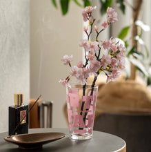 画像をギャラリービューアに読み込む, TARP GLASS