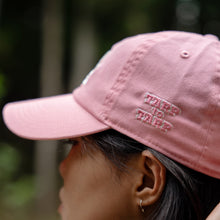 画像をギャラリービューアに読み込む, TARPtoTARP / T2 CAP