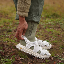 画像をギャラリービューアに読み込む, LOG SOX