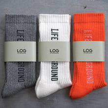 画像をギャラリービューアに読み込む, LOG SOX