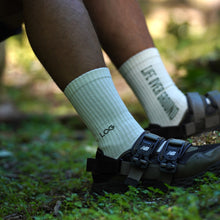 画像をギャラリービューアに読み込む, LOG SOX