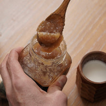 画像をギャラリービューアに読み込む, 松島兄弟のThe Real GINGER