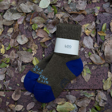 画像をギャラリービューアに読み込む, LOG CHILL SOX