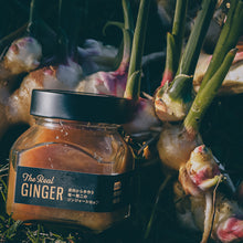 画像をギャラリービューアに読み込む, 松島兄弟のThe Real GINGER