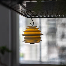 画像をギャラリービューアに読み込む, 【抽選販売】T no T x TARPtoTARP Sunrise