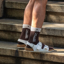 画像をギャラリービューアに読み込む, COFFEE SOX