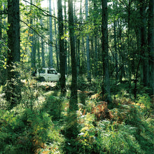 画像をギャラリービューアに読み込む, スパイスキャンプ 薫る至福のスパイス料理