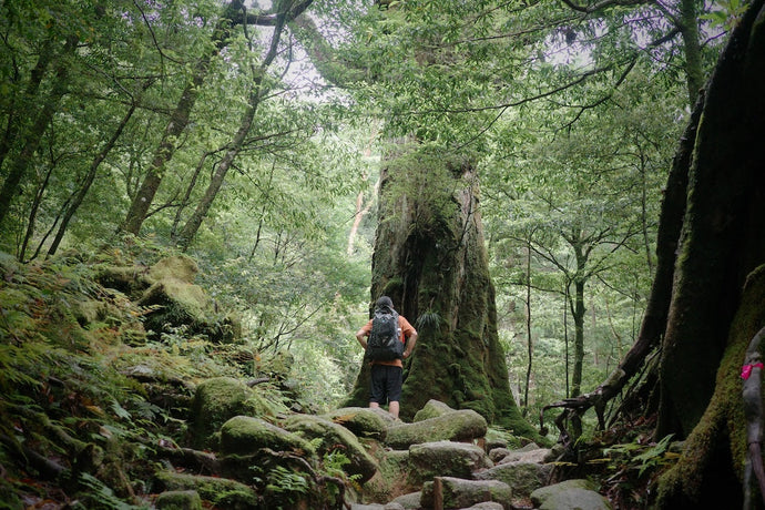 LOG｜Life Over Ground
