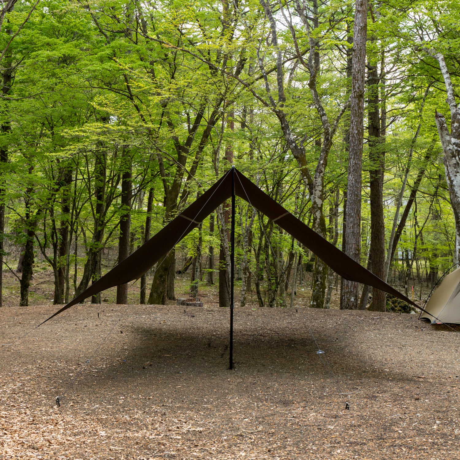 Diamond tarp Olive – LOG