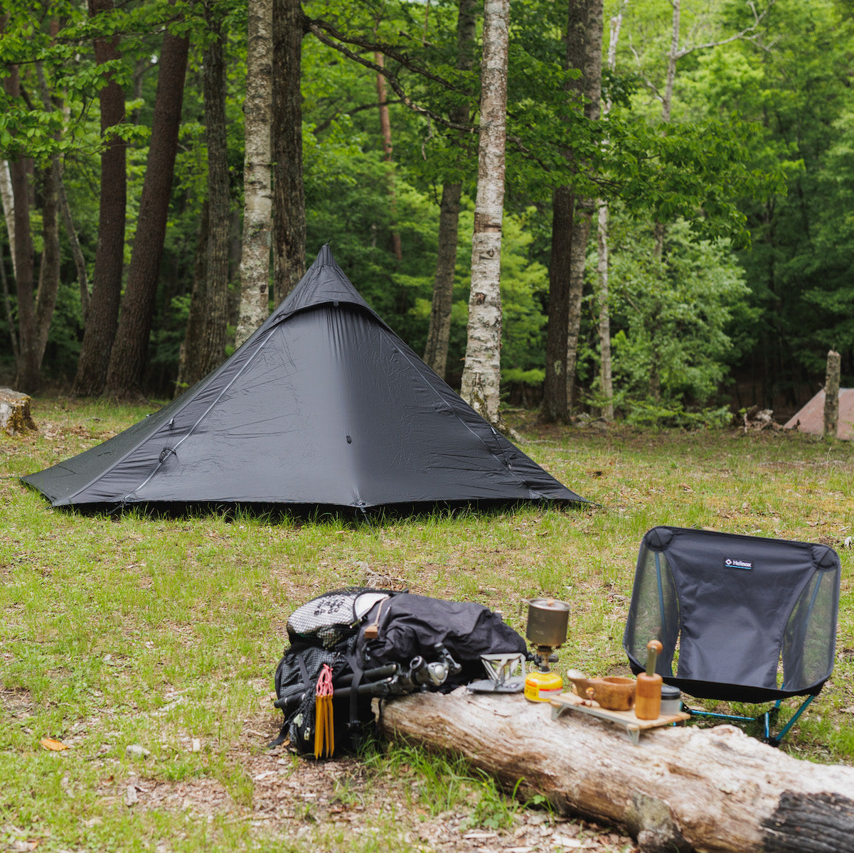 Soloist / Black – LOG