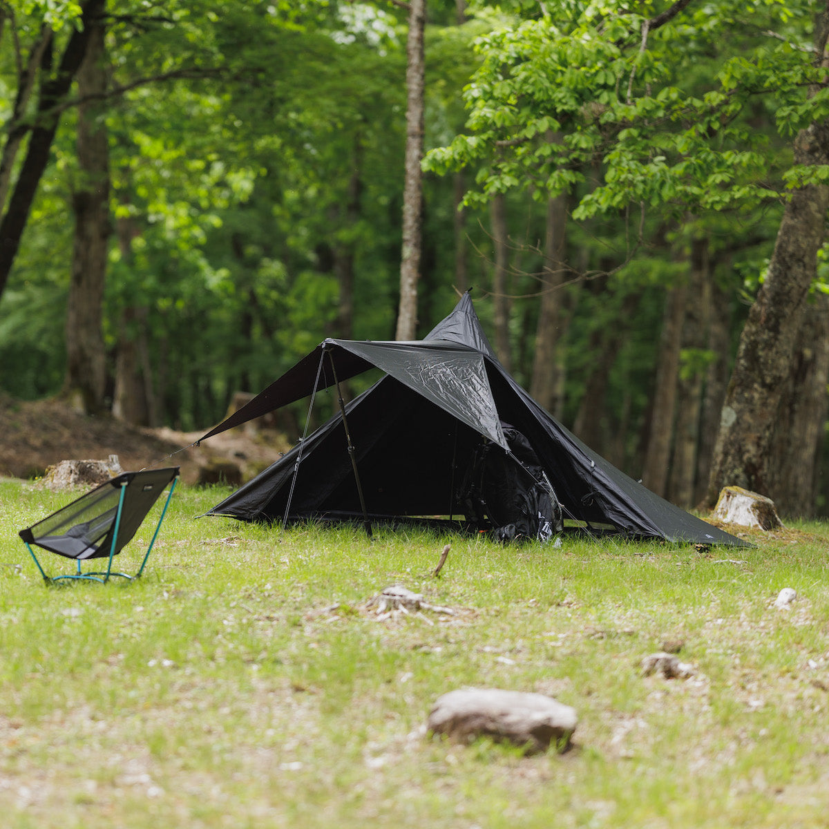 Soloist / Pewter – LOG