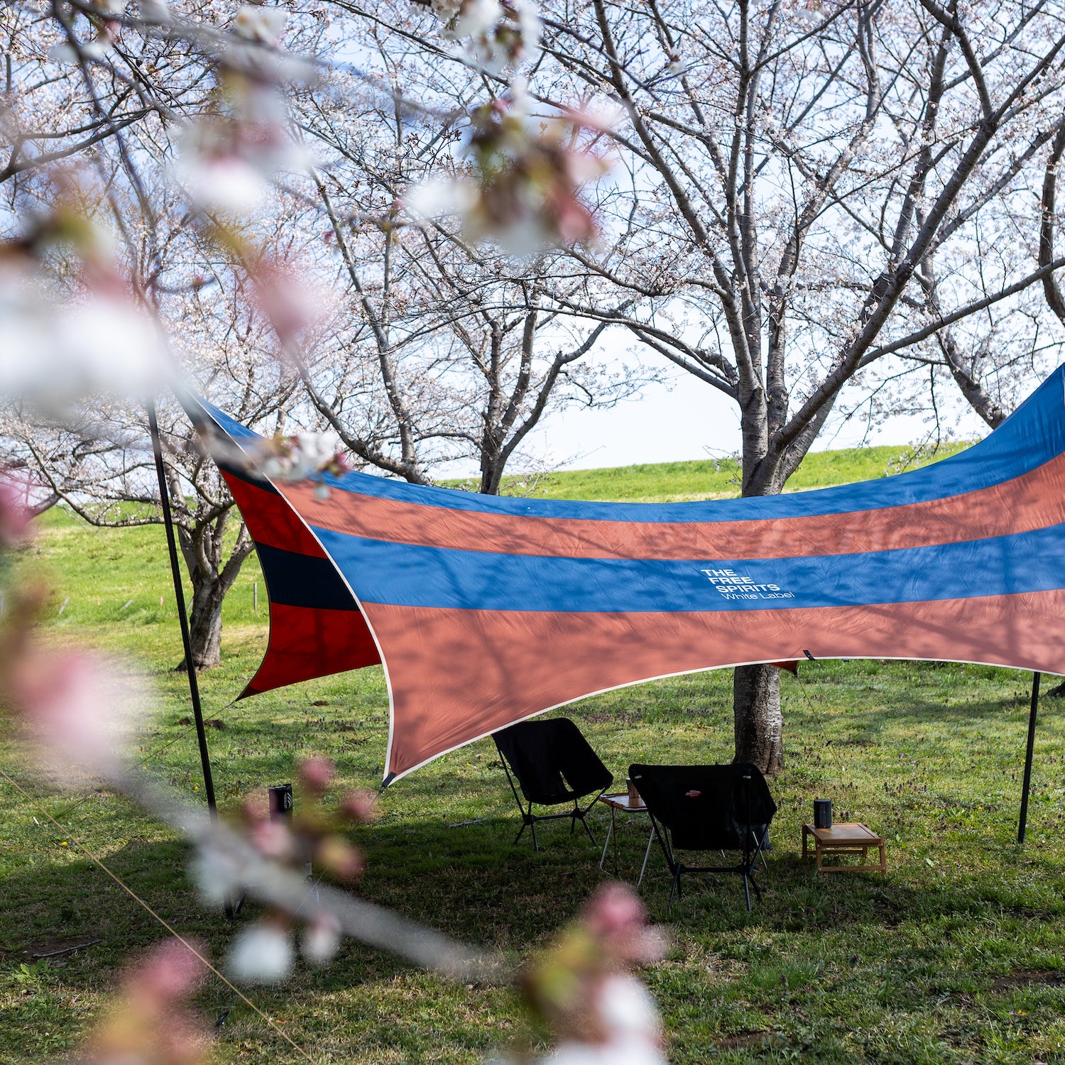 Yan Tarp – LOG