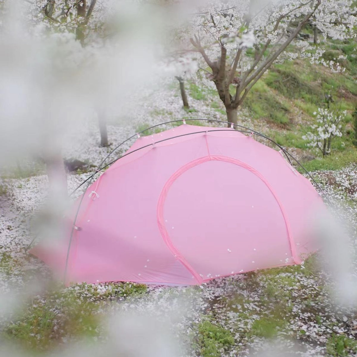 希少 新品 未使用 プレテント ライトロック 1P ピンク 専用FP付(おまけ) Lightrock 1p – LOG