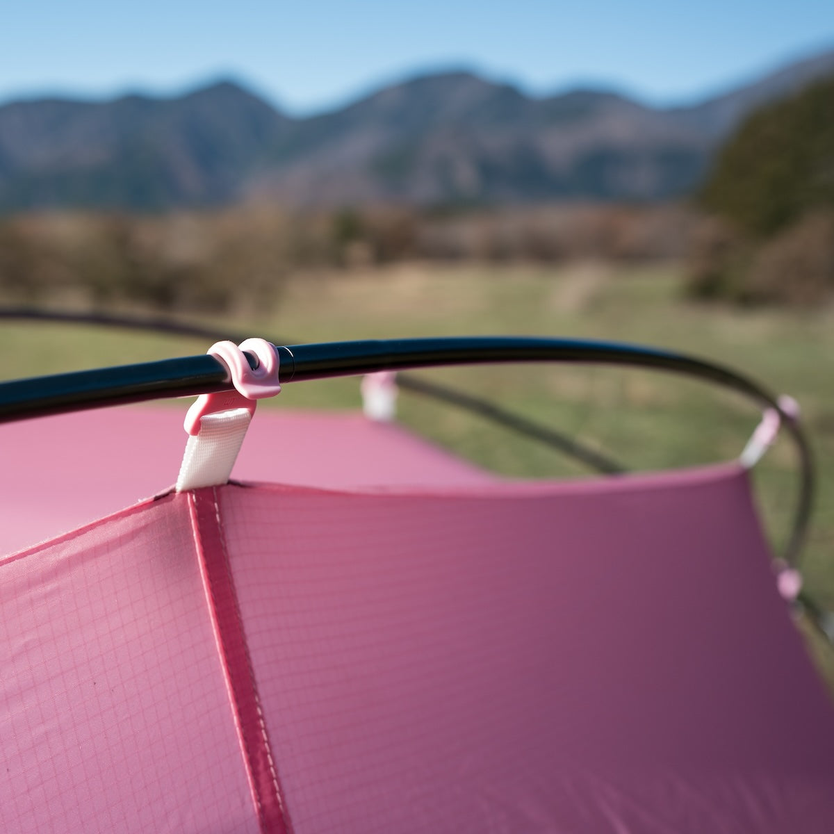 希少 新品 未使用 プレテント ライトロック 1P ピンク Pre Tents Lightrock 1P Special Color Pink / プレテント