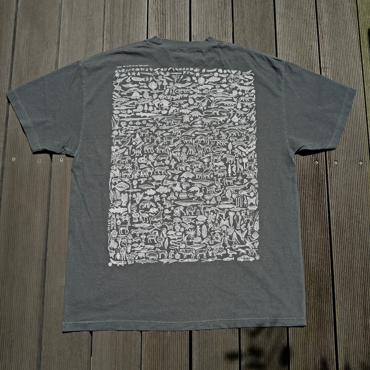 RAYTROLL Evolve T-shirt – LOG