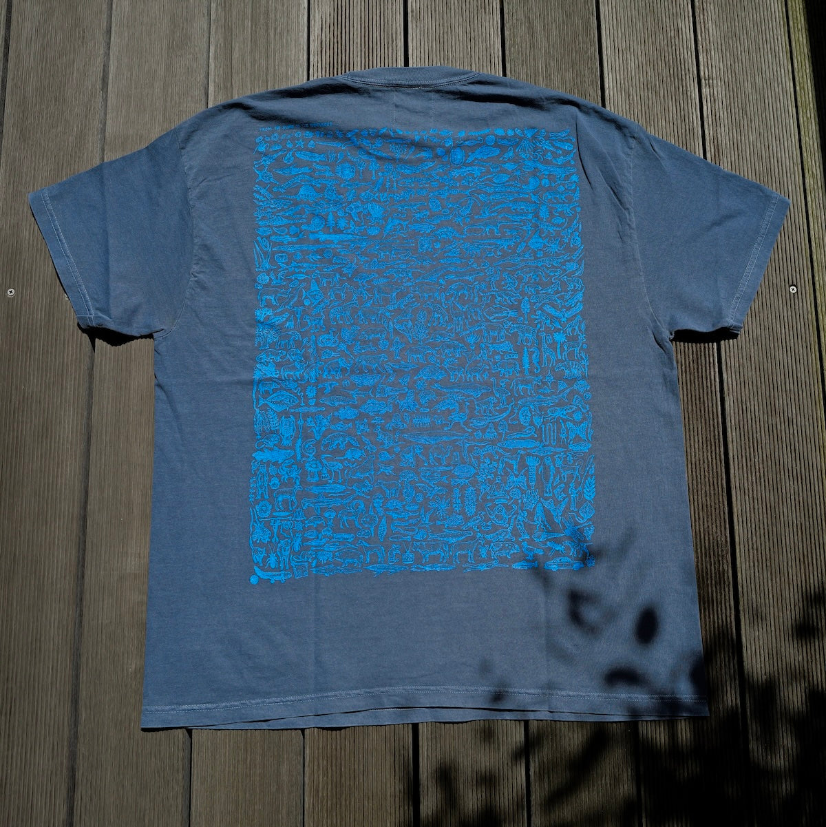 RAYTROLL Evolve T-shirt – LOG