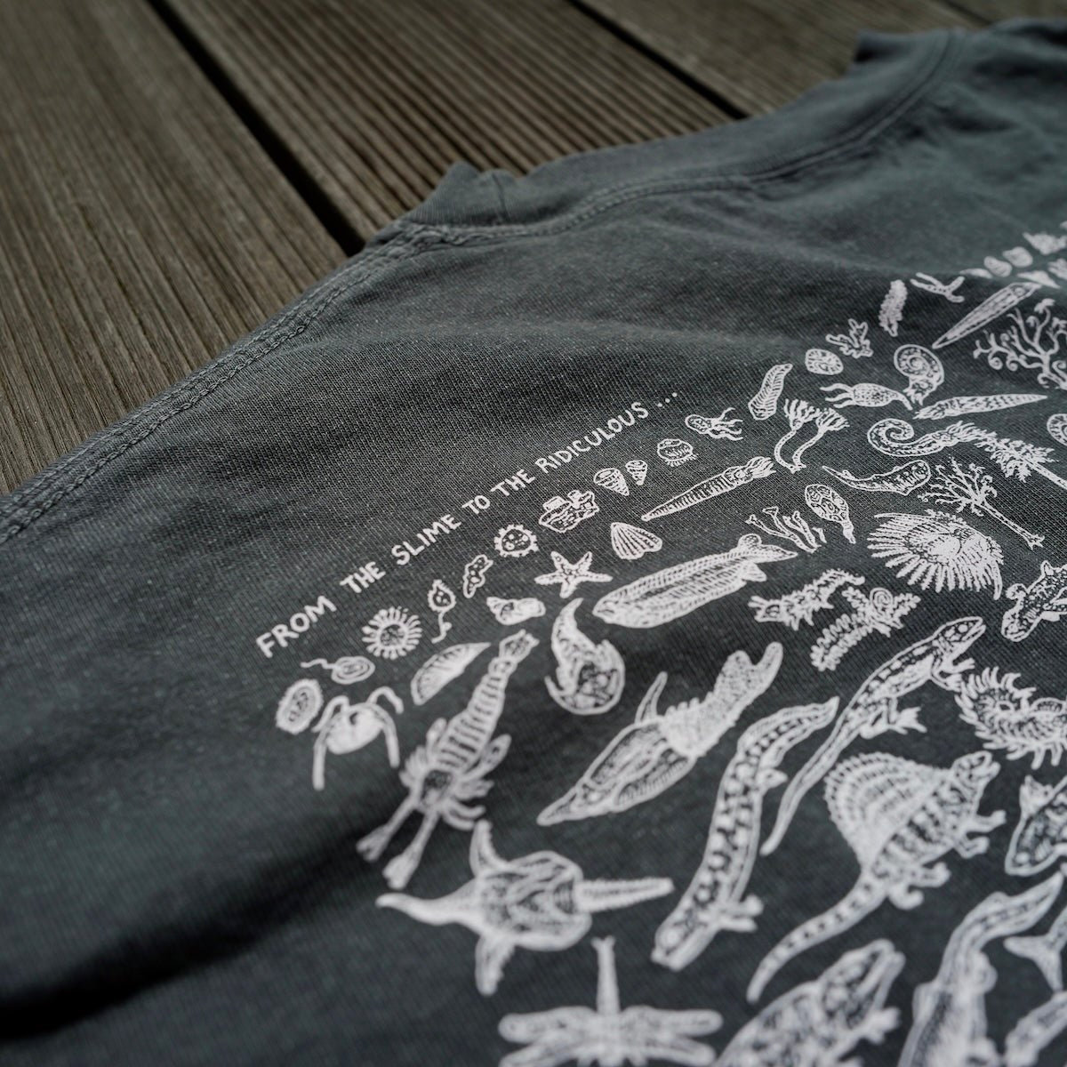 RAYTROLL Evolve T-shirt – LOG
