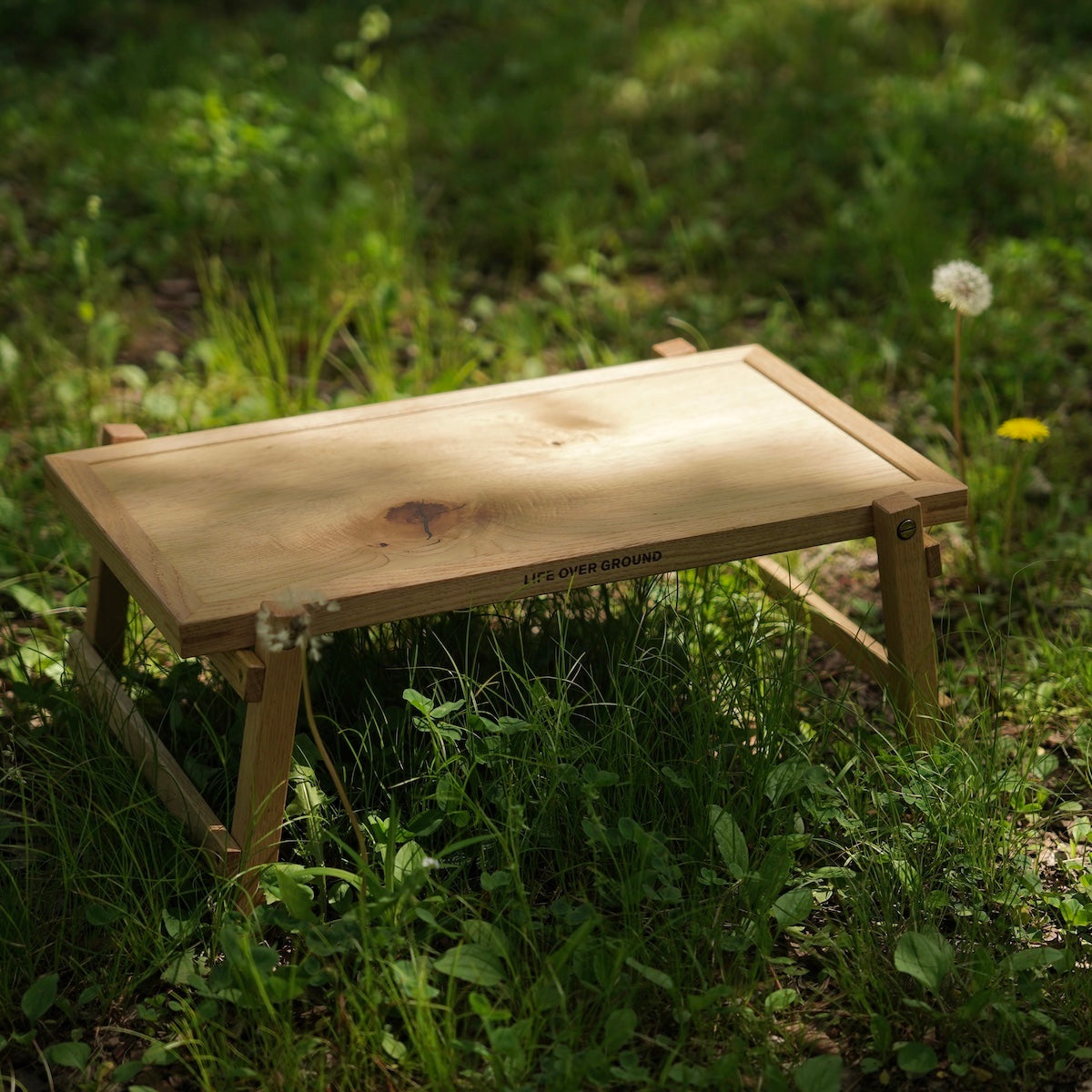 Lil Dorothy w/ BAG – LOG