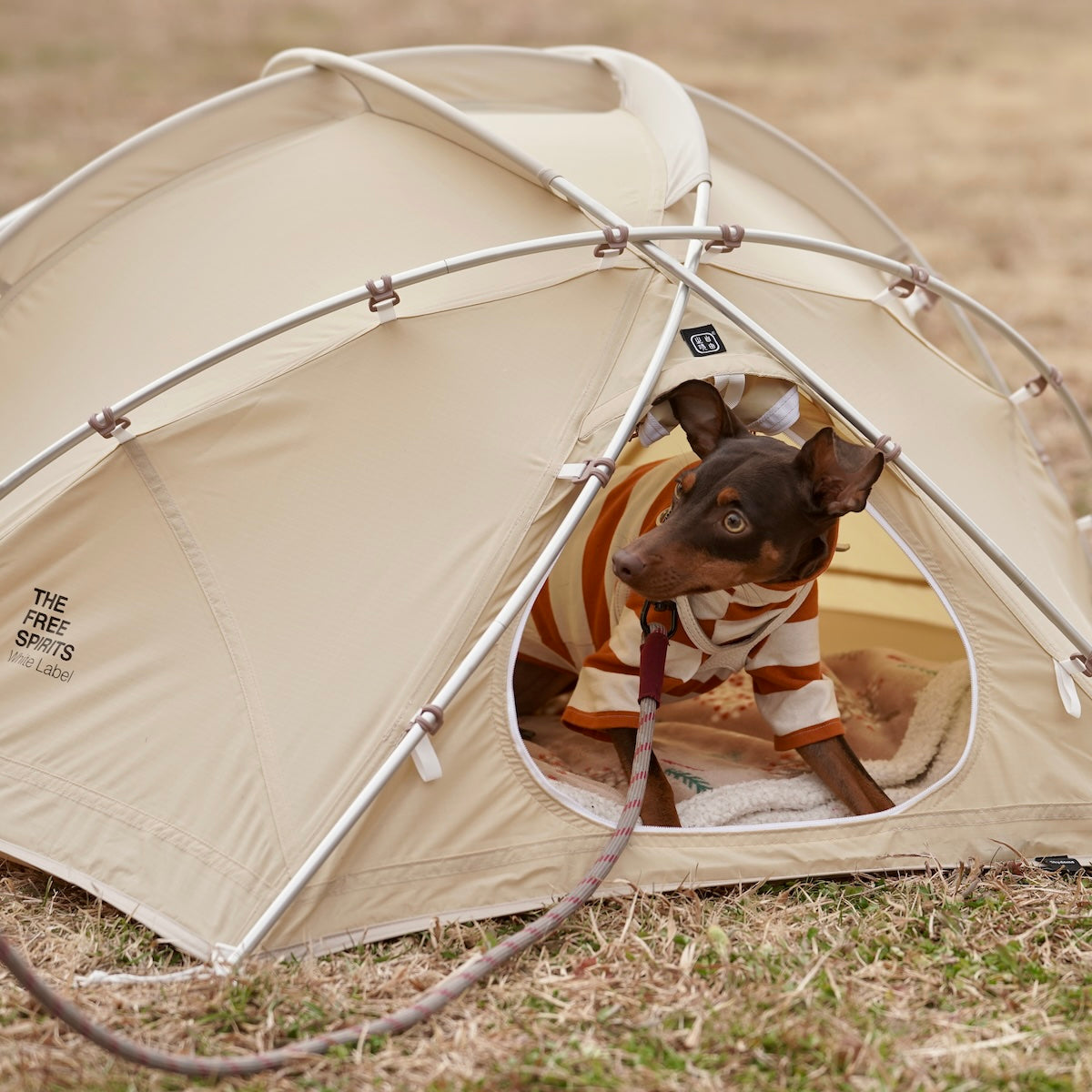 Skydome mini Ivory – LOG