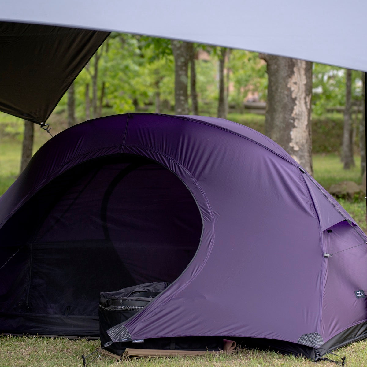 Lightrock 2p / Purple – LOG