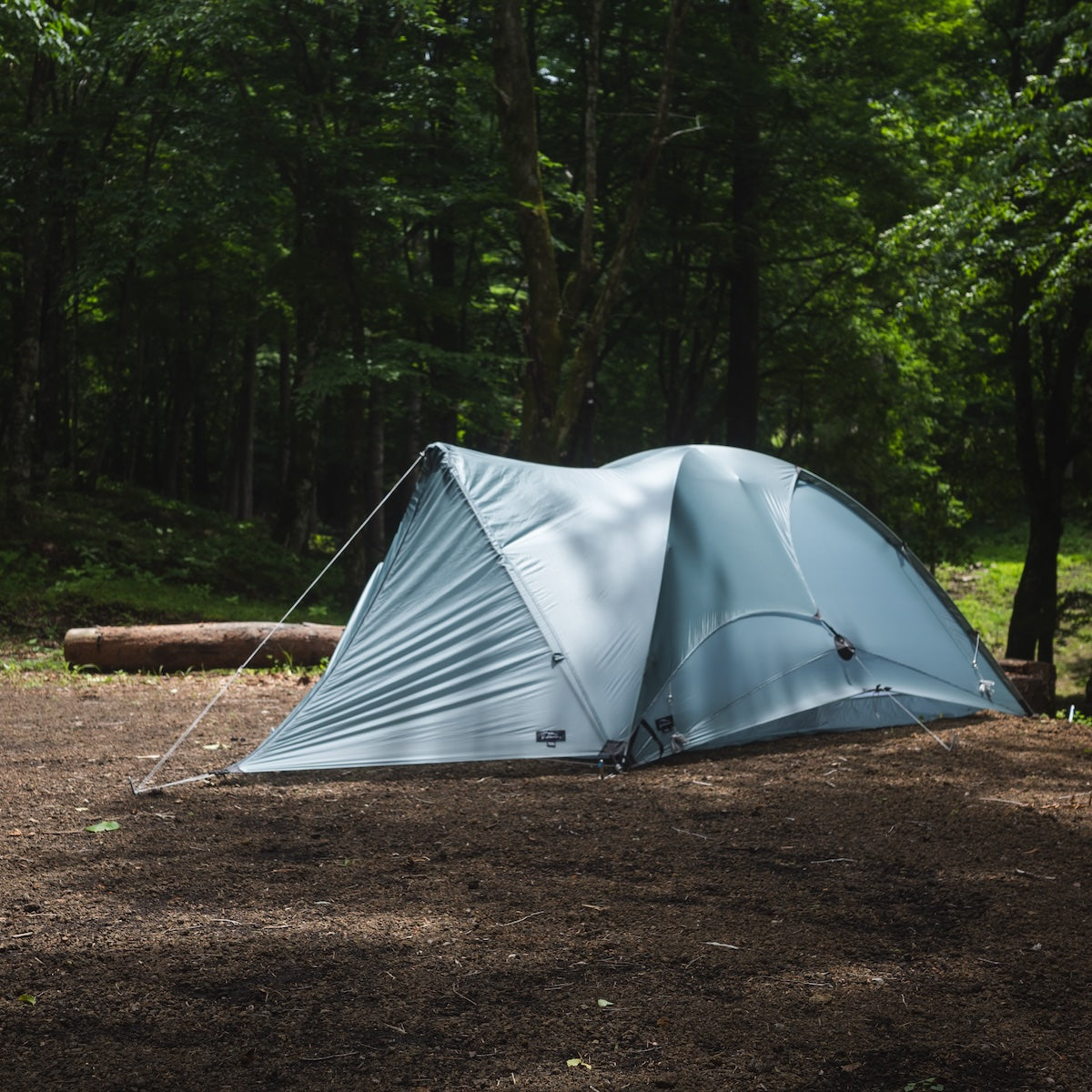 Border with Vestibule / Pewter – LOG