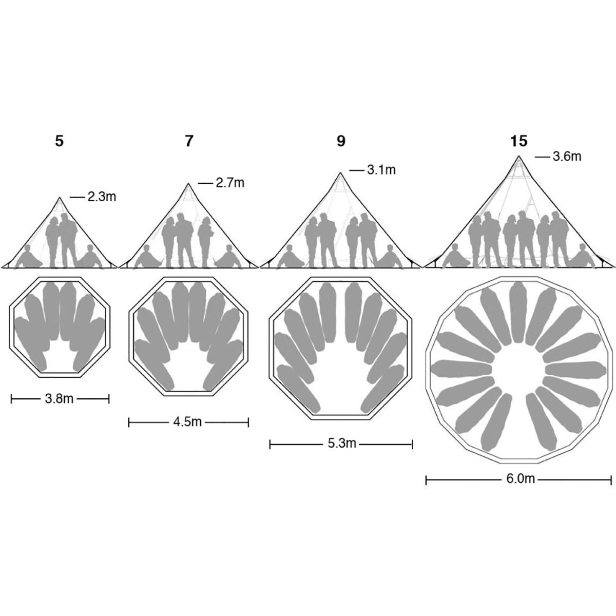 テンティピ　サファイア7　Light