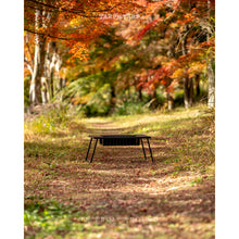 画像をギャラリービューアに読み込む, IFA Firepit TTT
