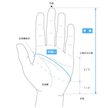 画像をギャラリービューアに読み込む, handson grip Liberty LOG ver.
