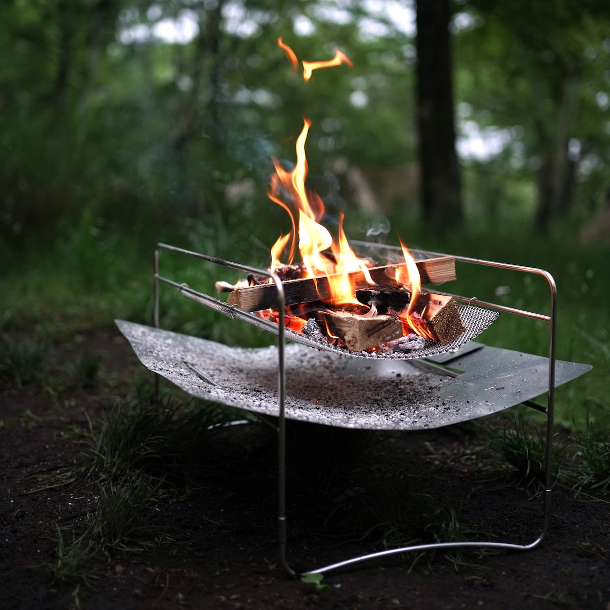 we know enough – LOG